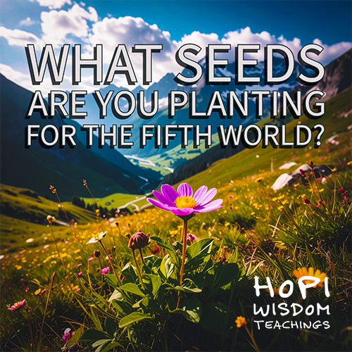 What seeds are you planting for the Fifth World? Hopi Wisdom Teachings