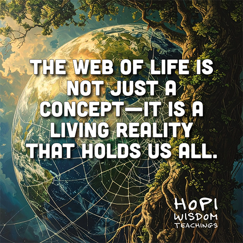 The Web of Life is not just a concept—it is a living reality that holds us all. Hopi Wisdom Teachings The Web of Life is not just a concept—it is a living reality that holds us all. Hopi Wisdom Teachings
