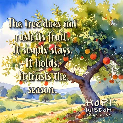 The tree does not rush its fruit. It simply stays. It holds. It trusts the season -Hopi Wisdom Teachings